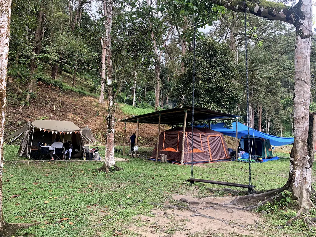 deruan rimba campsite 5